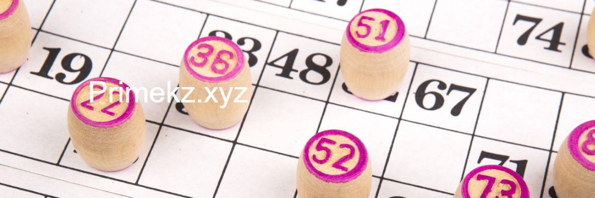 primekz.xyz